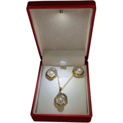 Gold Stainless Steel Chain & Earring Set