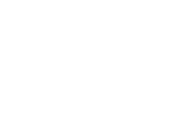 skrill logo