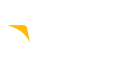 visa logo